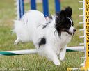 20130614-cckc-0610