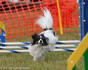 20130614-cckc-0612