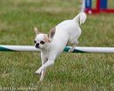 20130614-cckc-0630