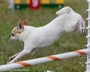 20130614-cckc-0632