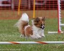 20130614-cckc-0638
