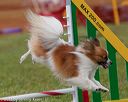 20130614-cckc-0646