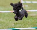 20130614-cckc-0659