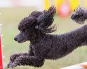 20130614-cckc-0660