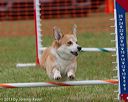 20130614-cckc-0661