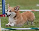 20130614-cckc-0664