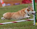 20130614-cckc-0669