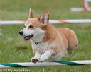 20130614-cckc-0671