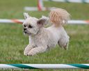 20130614-cckc-0674