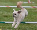 20130614-cckc-0675
