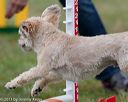 20130614-cckc-0681