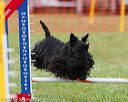 20130614-cckc-0682