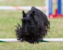 20130614-cckc-0690