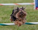 20130614-cckc-0702