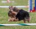 20130614-cckc-0704