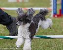 20130614-cckc-0709
