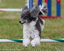 20130614-cckc-0717