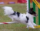 20130614-cckc-0721