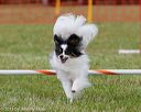 20130614-cckc-0722