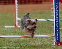 20130614-cckc-0725