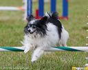 20130614-cckc-0742