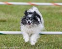 20130614-cckc-0746