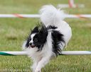 20130614-cckc-0750