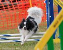 20130614-cckc-0752