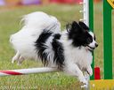 20130614-cckc-0753