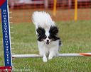 20130614-cckc-0756