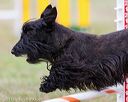 20130614-cckc-0770