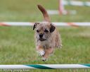 20130614-cckc-0780