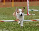 20130614-cckc-0798