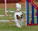 20130614-cckc-0807