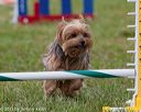 20130614-cckc-0814
