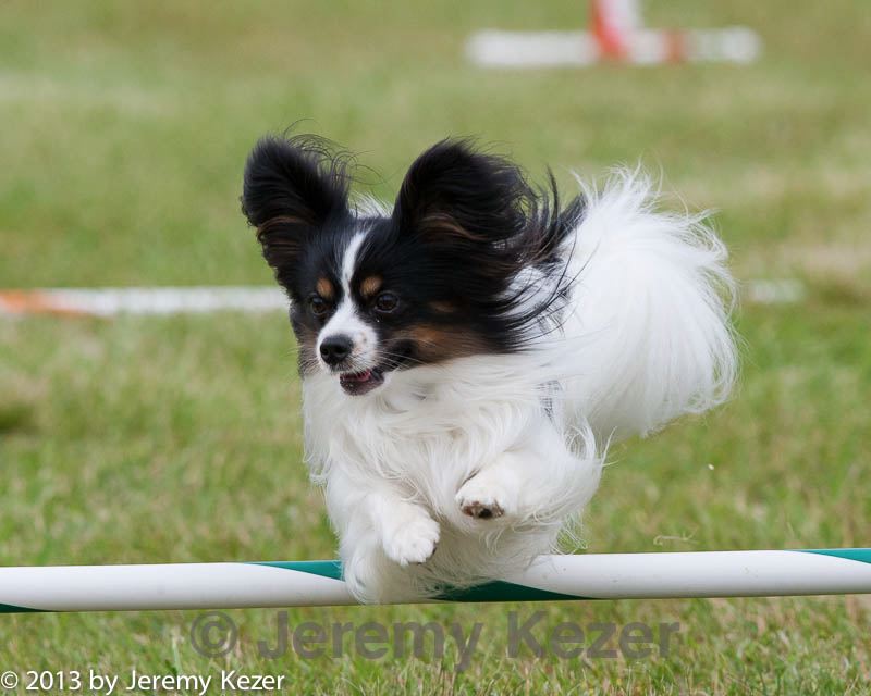20130614-cckc-0614.jpg
