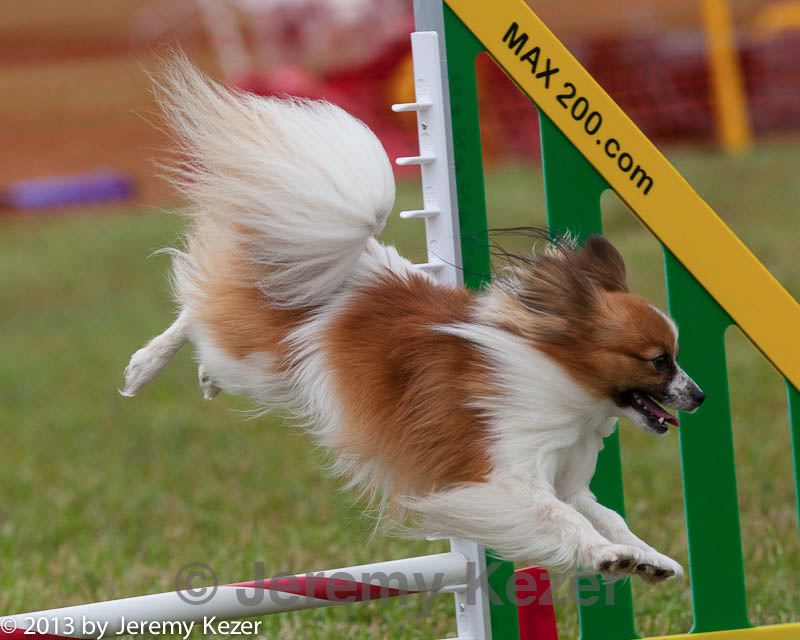 20130614-cckc-0646.jpg
