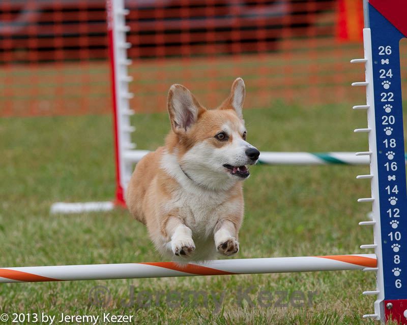 20130614-cckc-0661.jpg