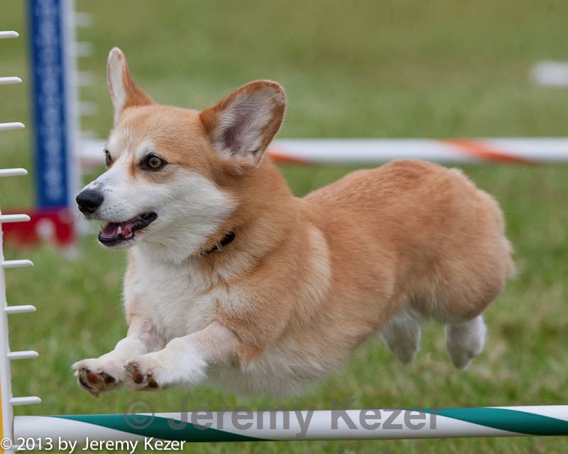 20130614-cckc-0664.jpg