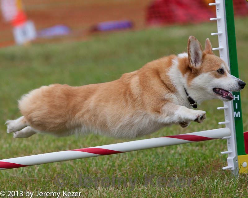 20130614-cckc-0669.jpg