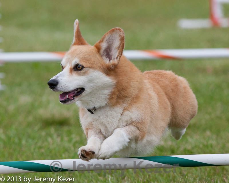 20130614-cckc-0671.jpg