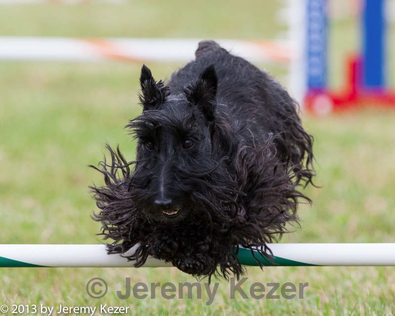 20130614-cckc-0690.jpg