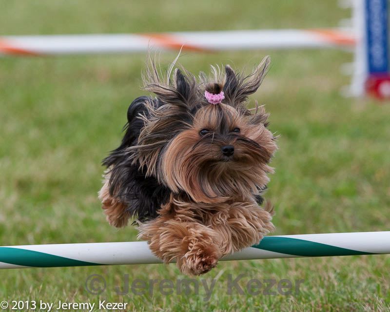 20130614-cckc-0702.jpg