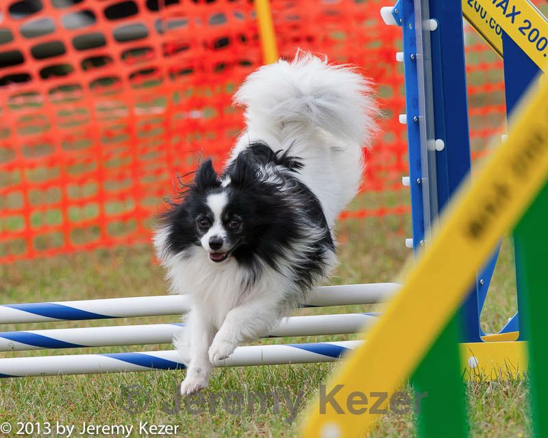 20130614-cckc-0752.jpg