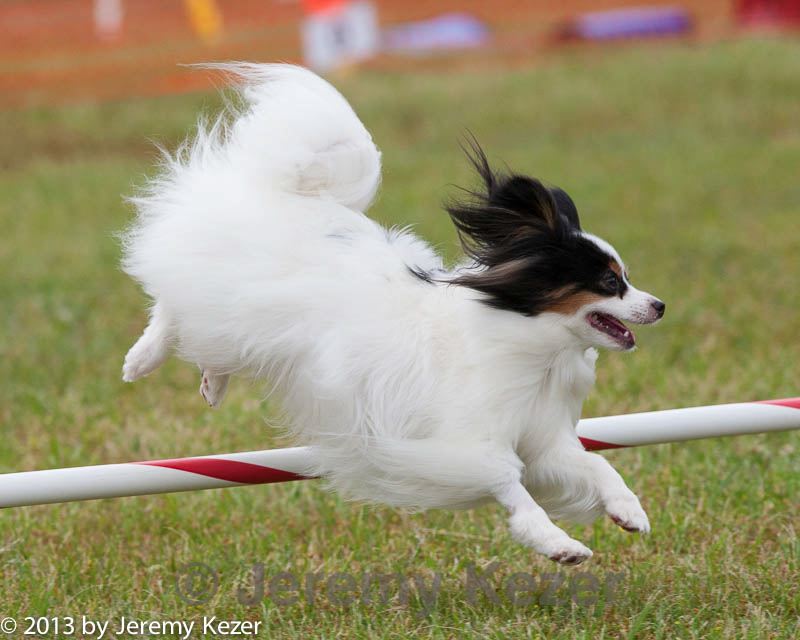 20130614-cckc-0761.jpg