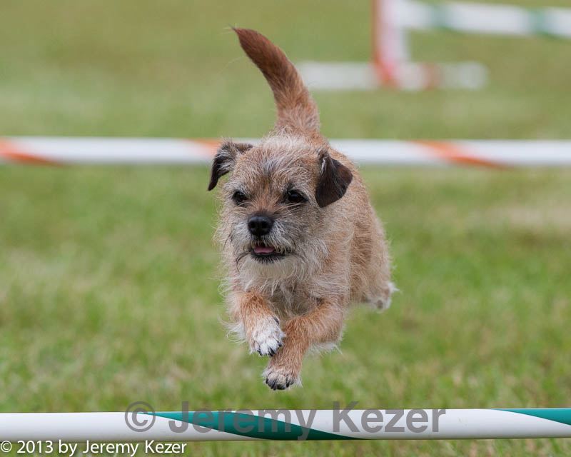 20130614-cckc-0780.jpg