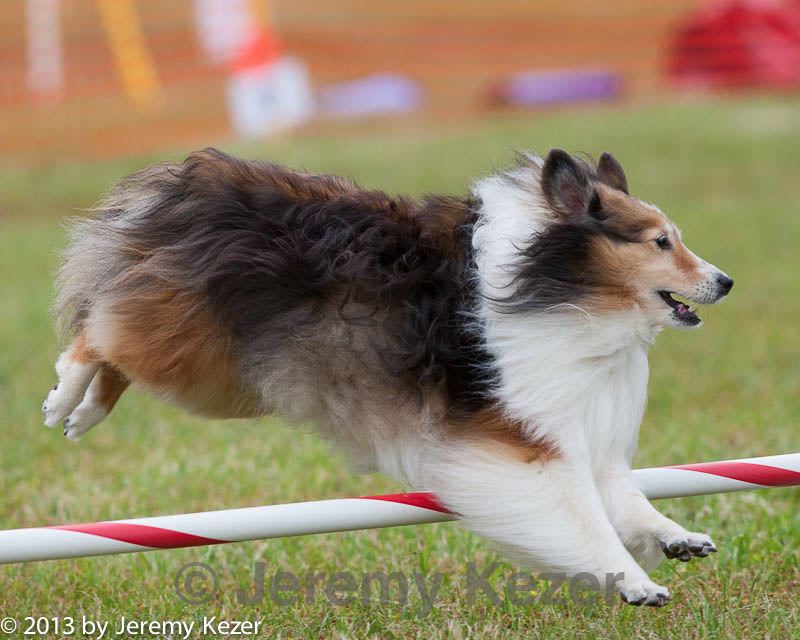 20130614-cckc-0783.jpg