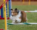 20130614-cckc-0448