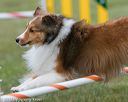 20130614-cckc-0449