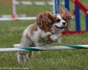 20130614-cckc-0451
